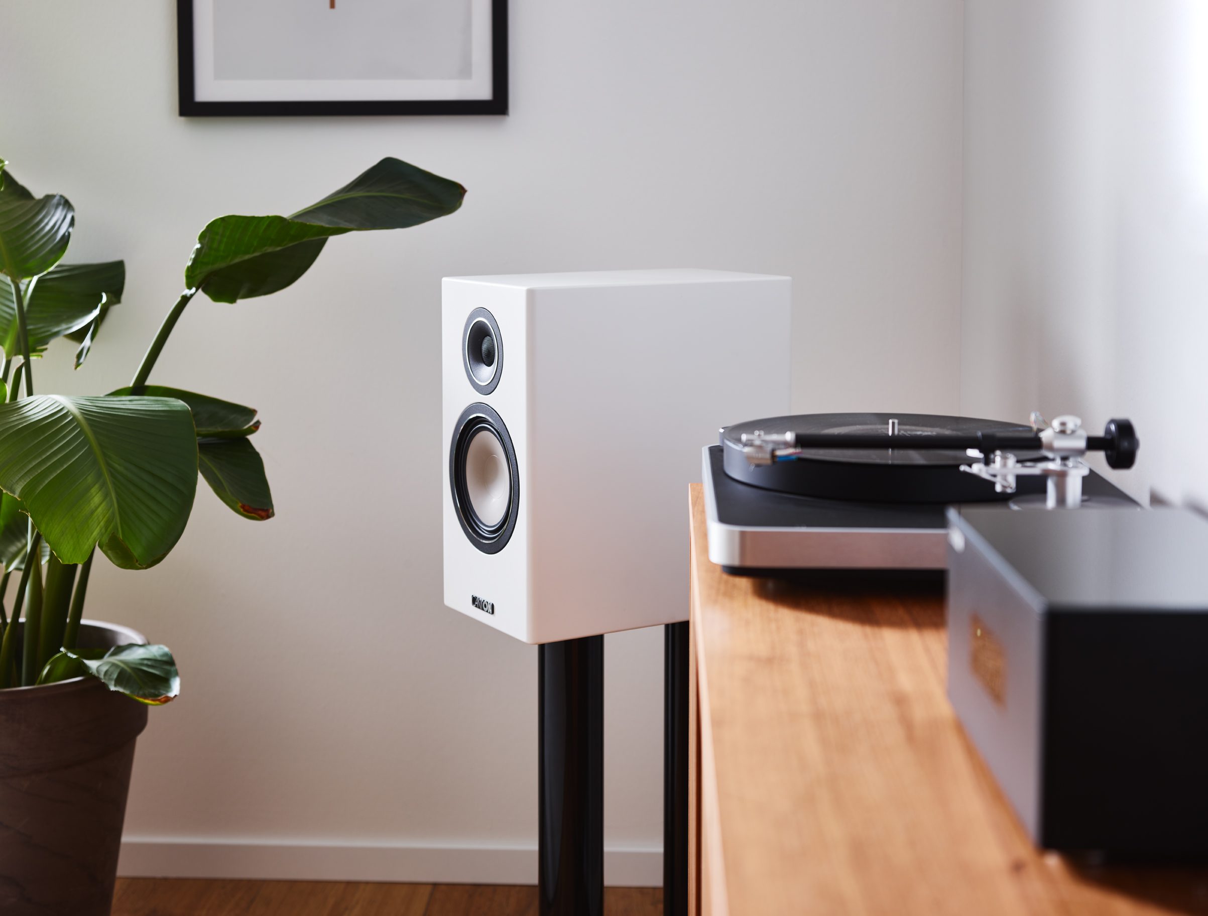 Musik in mehreren Räumen: So funktioniert Multiroom-Audio