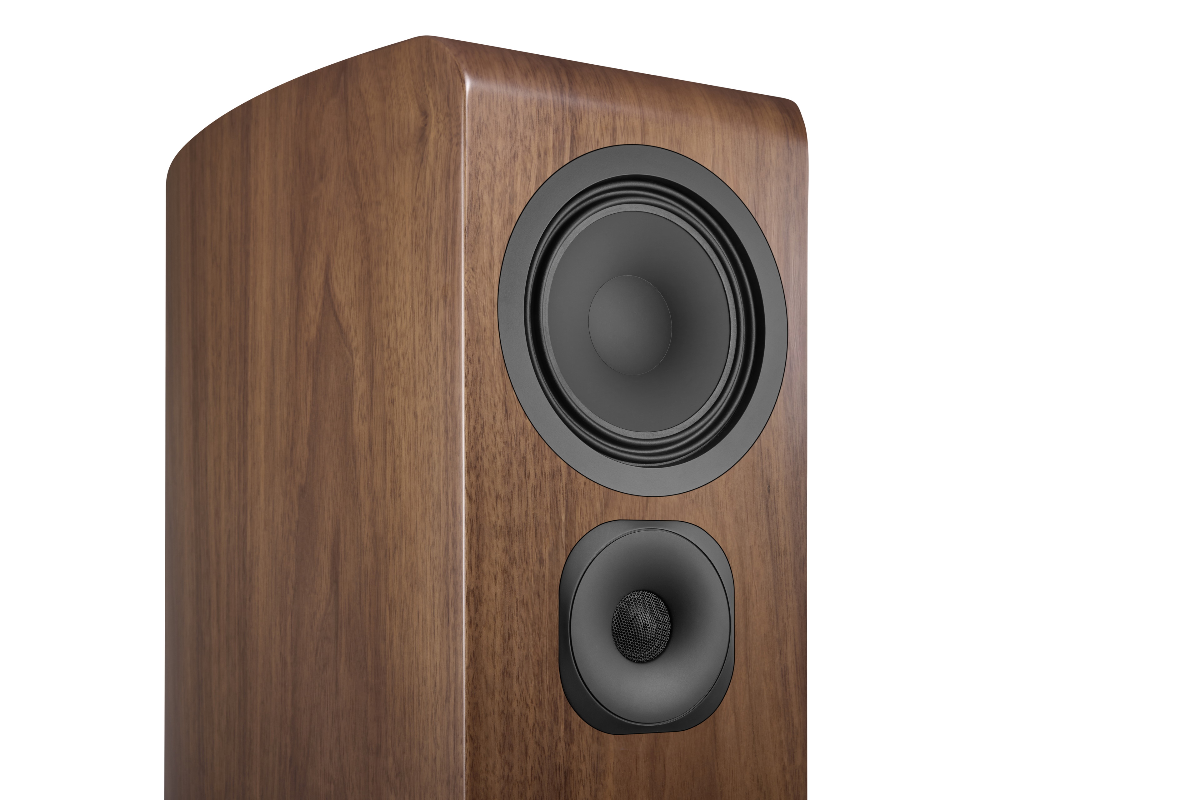 Canton Vento 101 Nussbaum – Detailansicht