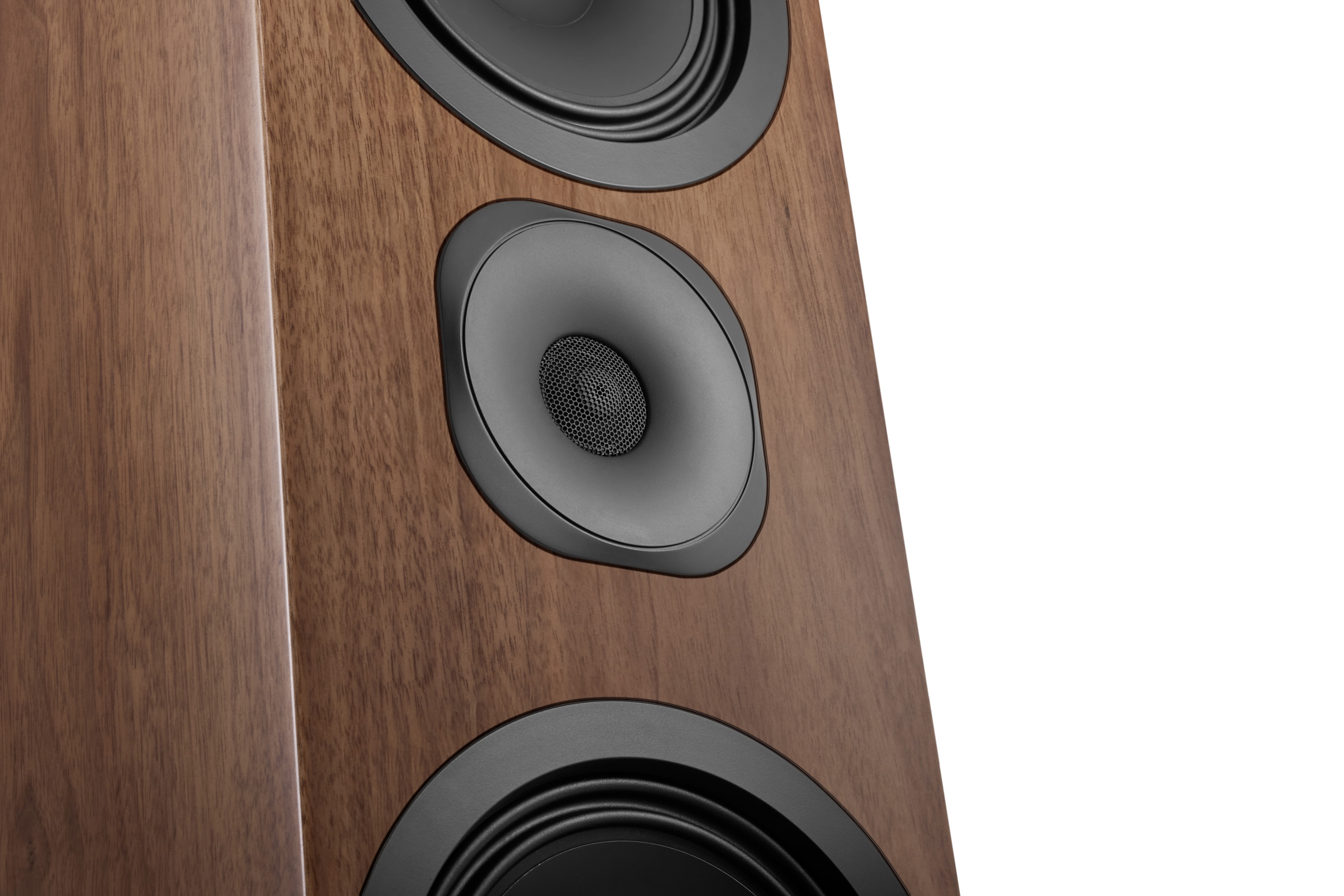 Canton Vento 101 Nussbaum – Detailansicht